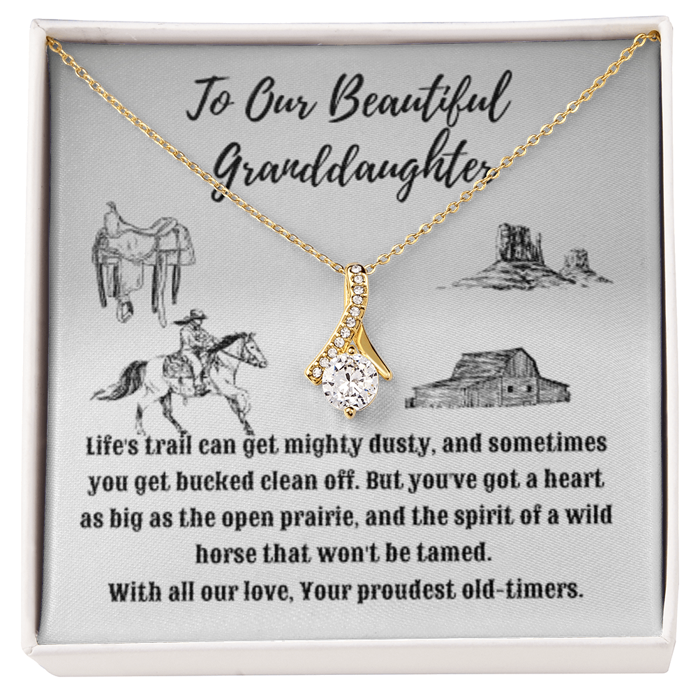 Western Style Message to That Special Granddaughter - Alluring Beauty Necklace